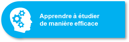 Apprendre à étudier efficacement